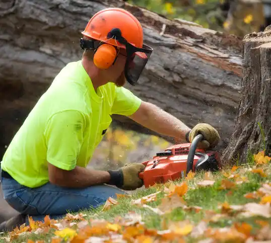 tree services Ste. Genevieve